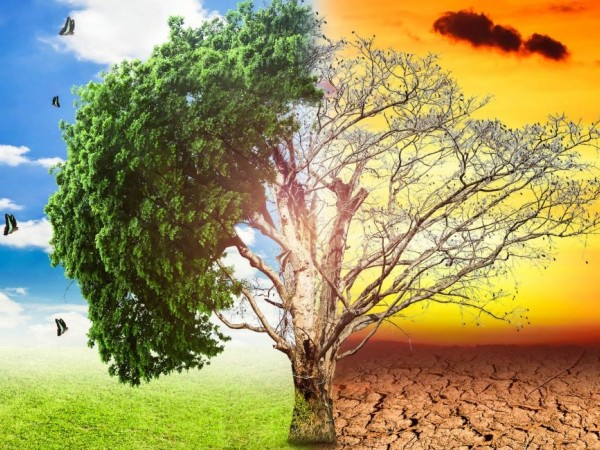 Χαρακτηριστική εικόνα της κλιματικής αλλαγής με ένα δέντρο μισό πράσινο και μισό καμένο